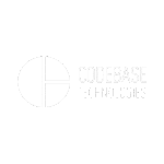 codebase