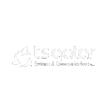 ts qatar